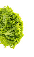 Lettuce